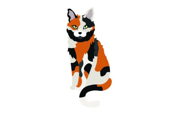 American Short Hair Cat Sitting