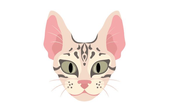 Bengal Cat Floating Head