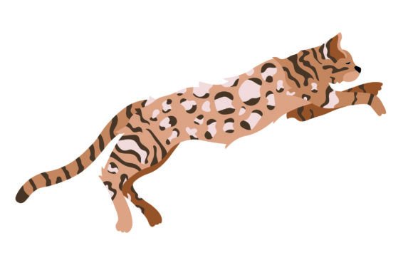 Bengal Cat Jumping