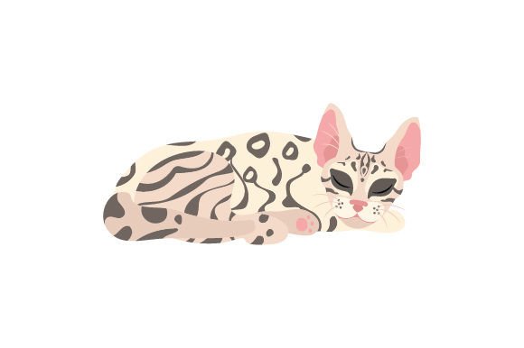 Bengal Cat Sleeping