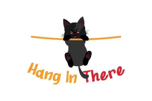 Black Cat Hang in There