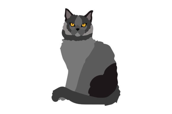 British Short Hair Cat Sitting