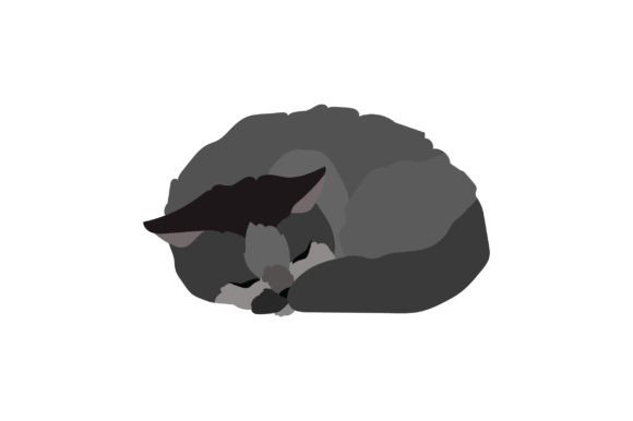 British Short Hair Cat Sleeping