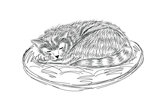 Burmese Cat Sleeping - Sketch Style