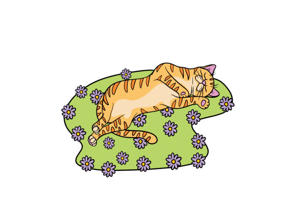 Cat Relaxing in a Flower Field