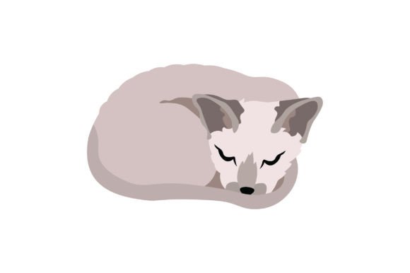 Cornish Rex Cat Sleeping