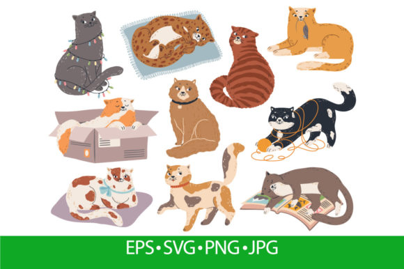 Cute Cats. Funny Kittens