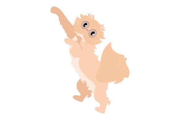 Exotic Short Hair Cat Jumping