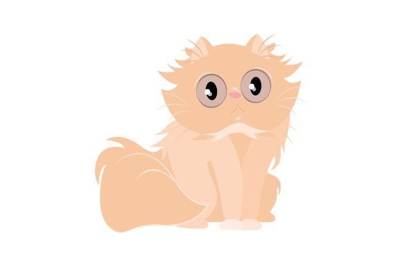 Exotic Short Hair Cat Sitting