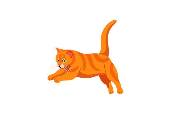Ginger Cat Jumping