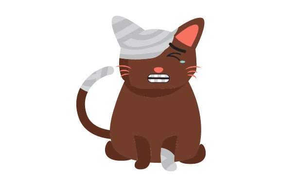 Havana Brown Cat - Hurt