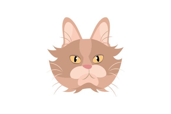 Maine Coon Cat Floating Head