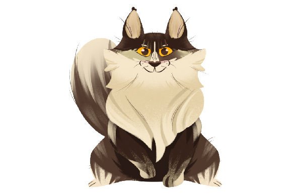 Maine Coon Cat Sitting