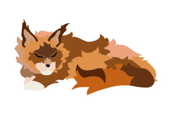 Maine Coon Cat Sleeping