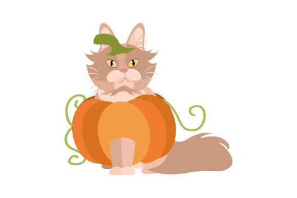 Maine Coon Cat Wearing Halloween Costume