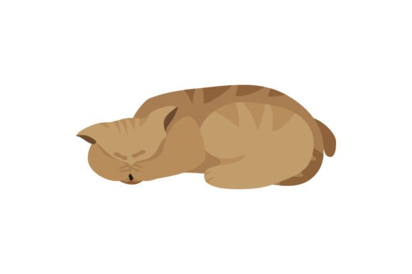 Manx Cat - Embarrassed