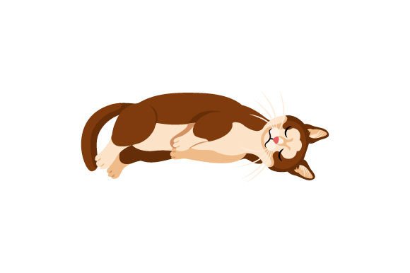 Munchkin Cat Sleeping