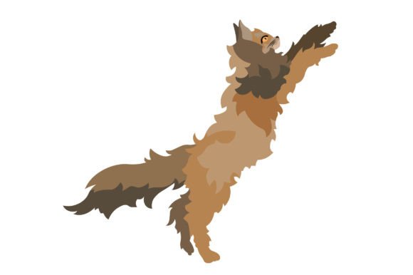 Persian Cat Jumping