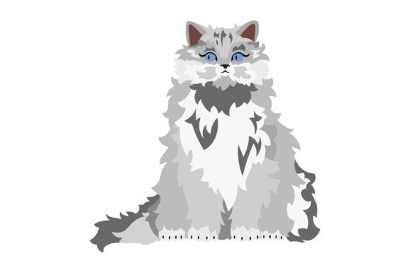 Persian Cat Sitting Review