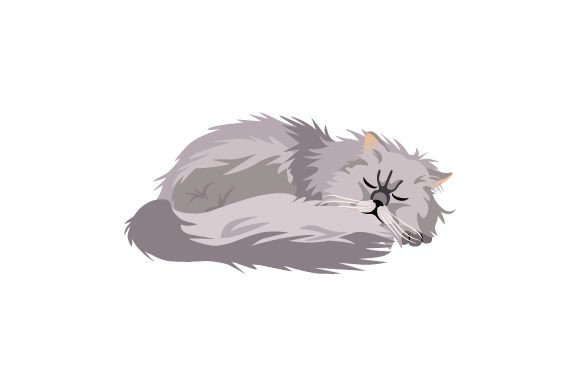 Persian Cat Sleeping