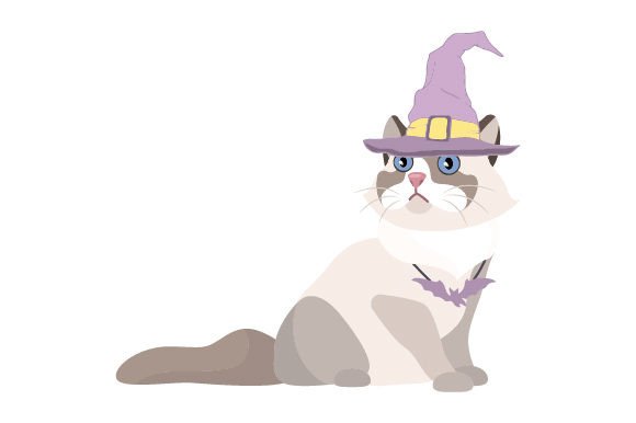 Ragdoll Cat Wearing Halloween Costume