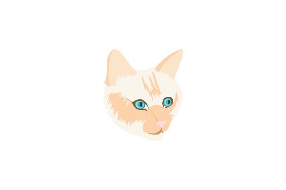 Red Point Siamese Cat Close Up