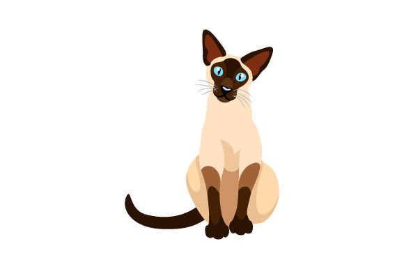 Siamese Cat Sitting
