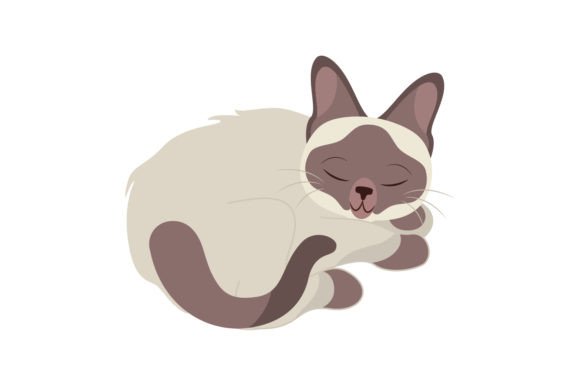Siamese Cat Sleeping