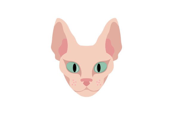Sphynx Cat Floating Head