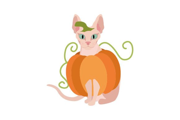 Sphynx Cat Wearing Halloween Costume