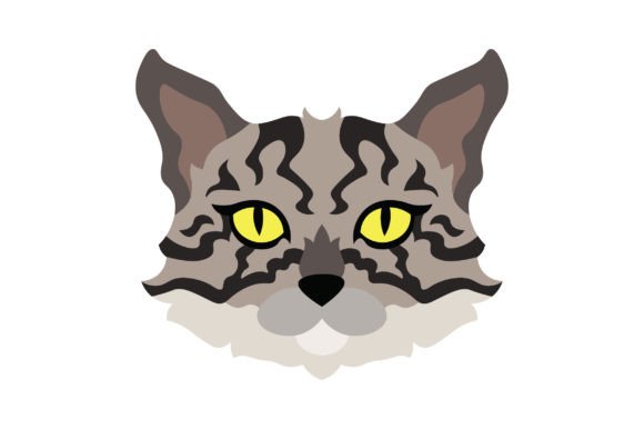 Tabby Cat Floating Head