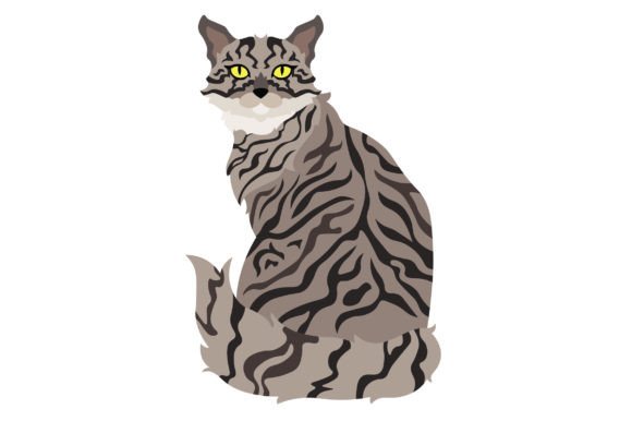 Tabby Cat Sitting Review