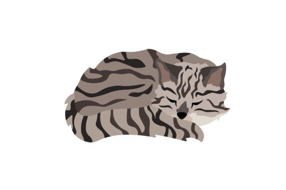Tabby Cat Sleeping